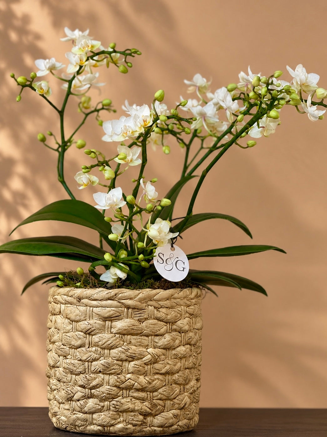 Woven Texture Pot