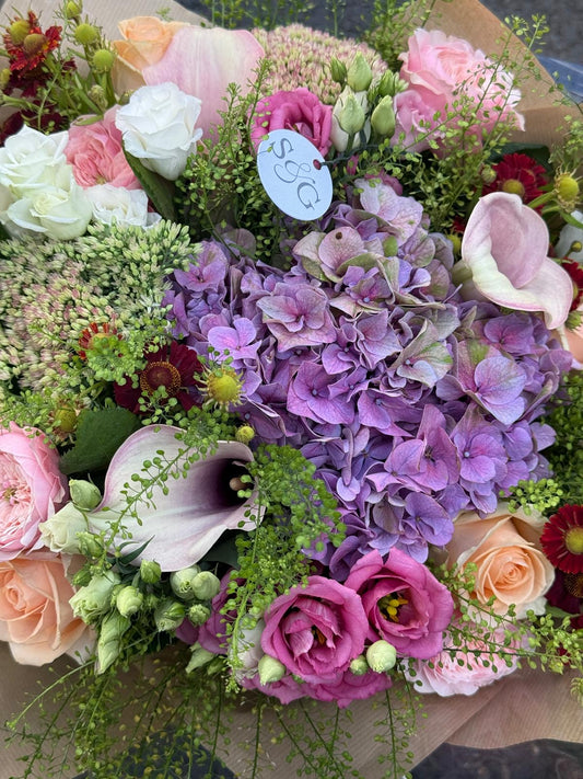 September Flowers: Welcoming Autumn with Beautiful Blooms