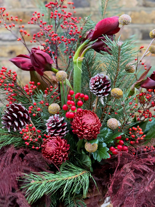 Winter Blooms That Brighten January: Best Flowers, Care Tips & Gifting Ideas
