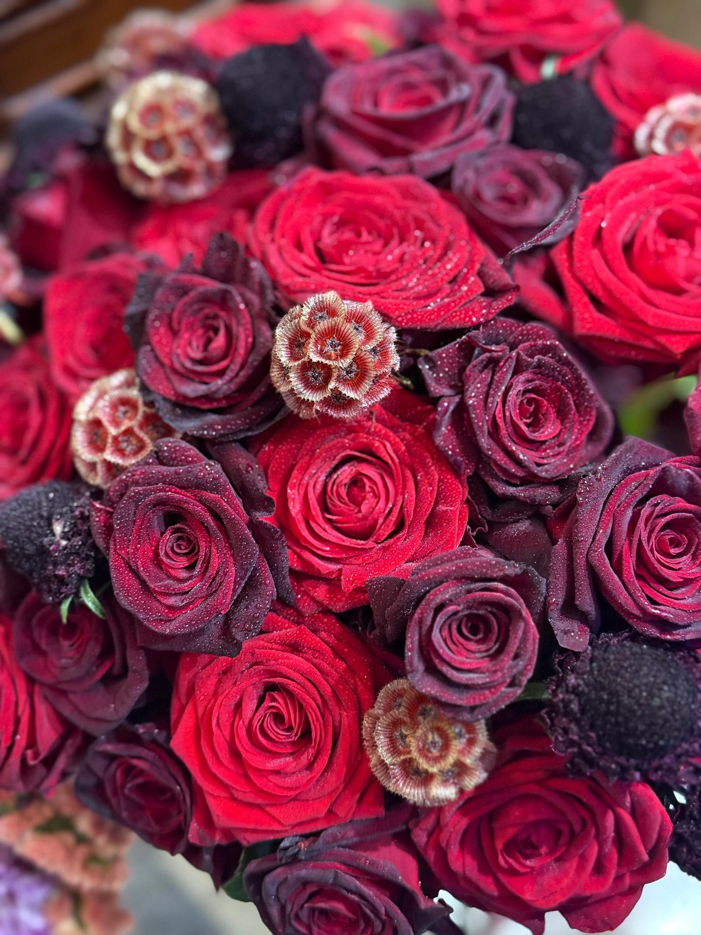 Blush