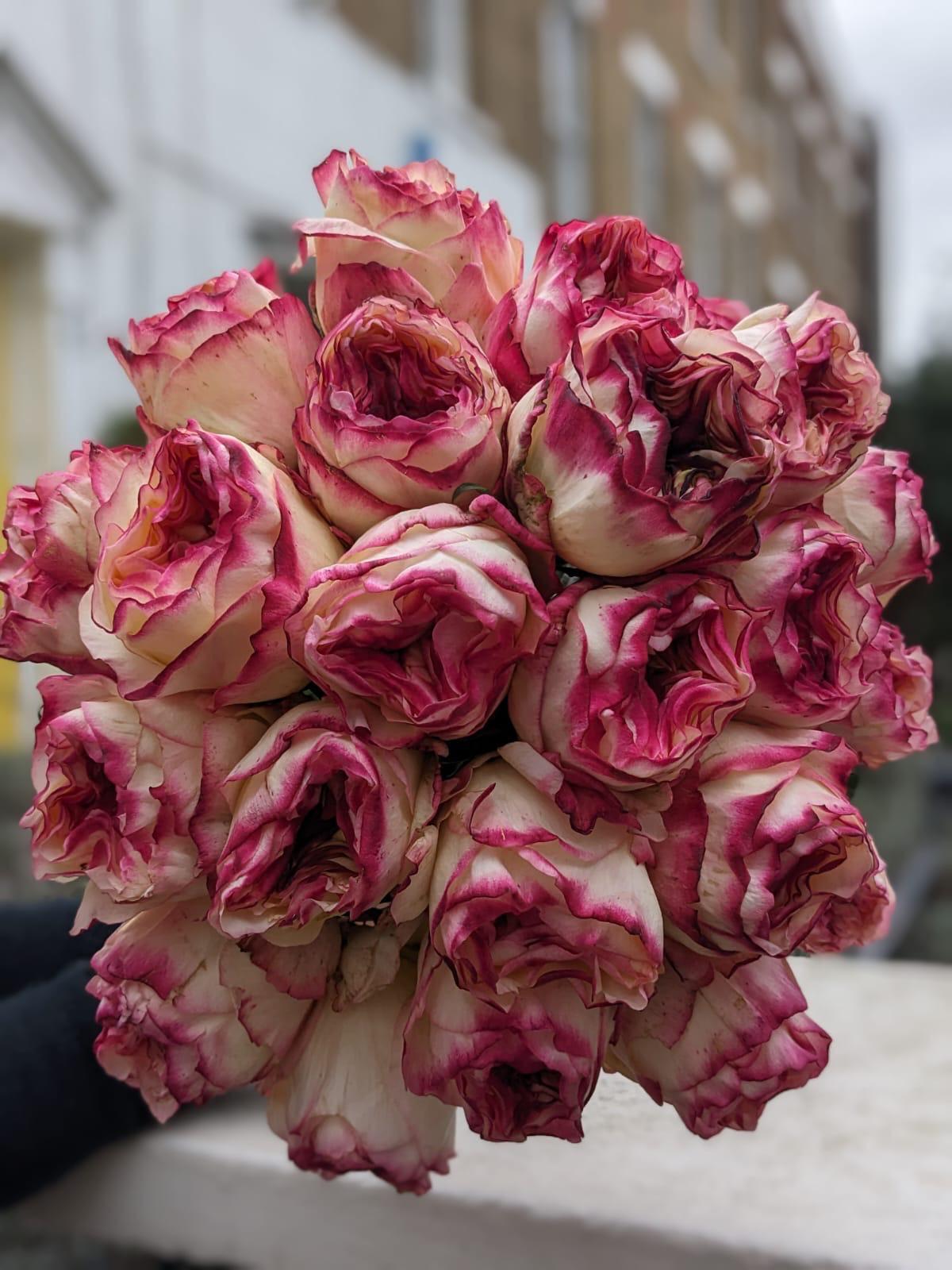 Rose Bouquet
