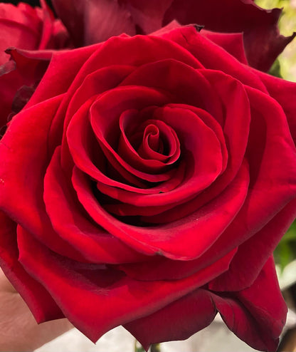 Rose Bouquet